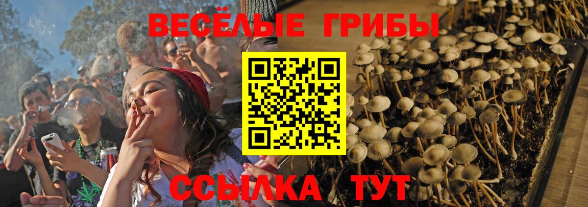 Псилоцибиновые грибы Magic Shrooms  Вход с VPN  Тамбов 